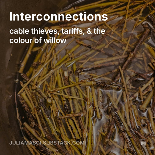 INTERCONNECTIONS. Cable thieves, Tariffs & the Colour of Willow .