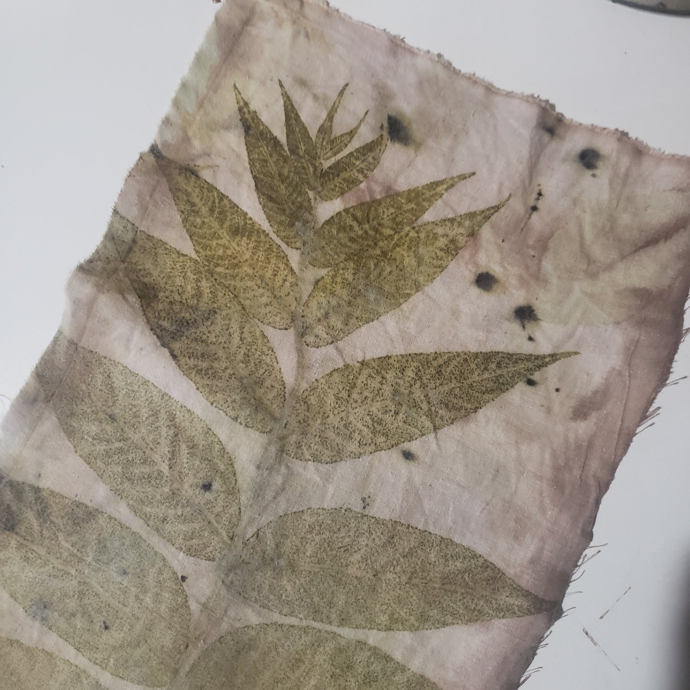 ECO-PRINT WORKSHOP Saturday October 11 2025