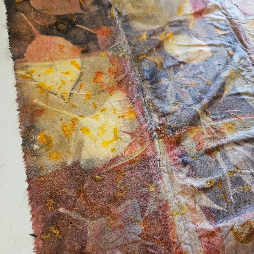 Eco printing with backgrounds Saturday February 7th 2026