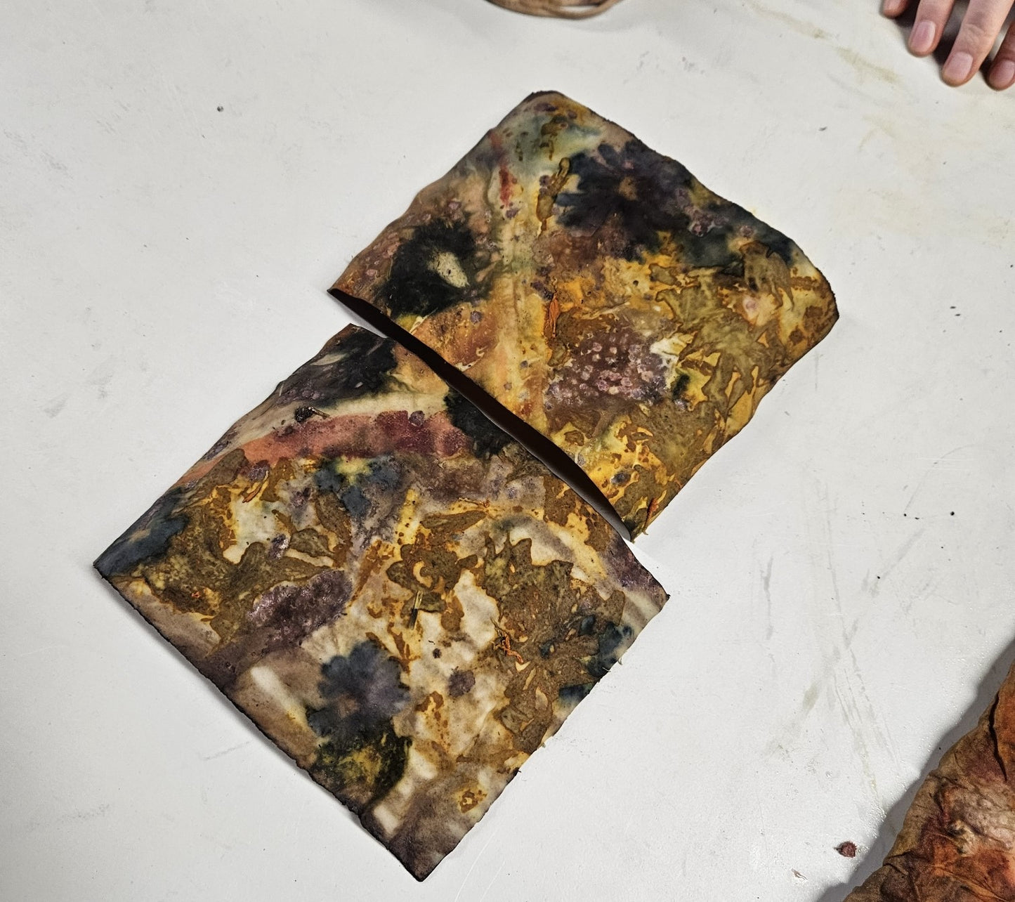eco-printing on paper Sat. Sept. 20th 2025