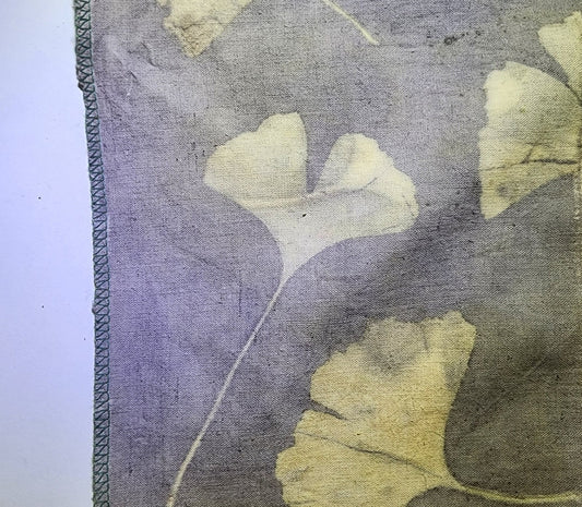 Eco printing with backgrounds Saturday February 7th 2026