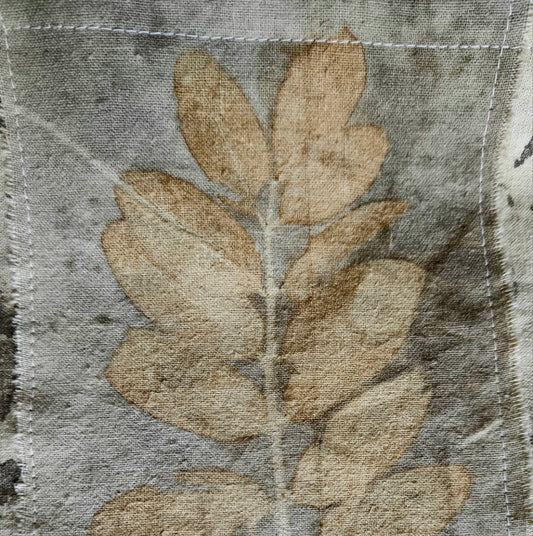 Eco printing with backgrounds Saturday Oct. 21 2023