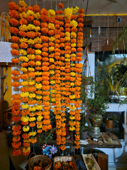 Growing a Dye Garden  Saturday March 29 2025