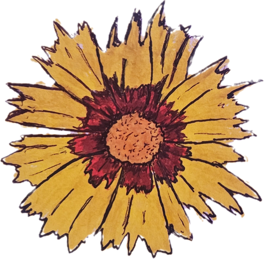 Growing Colour in Southern Ontario-  Digital Download