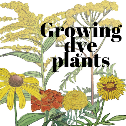 Growing Colour in Southern Ontario-  Digital Download